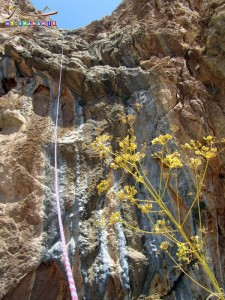 فرود 35 متری از دیواره آبشار