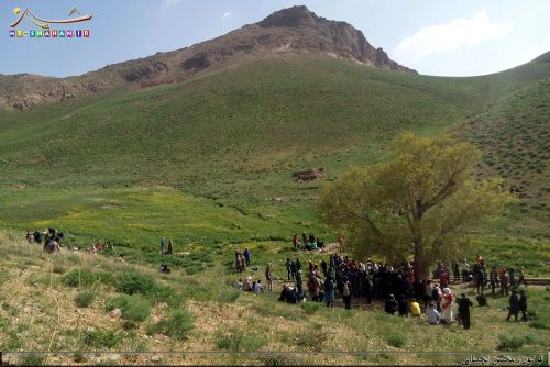 حضور مردم در گرداگرد تک درخت و چشمه کوه تسیخه