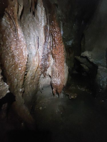 تزئینات غار در تراورس 600