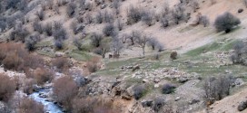 دره حورو ، امامزاده سید حسن و سنگریزه های کنار آن، آثار خانه های خراب شده