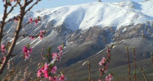 قله زیبای تسیوس تسری